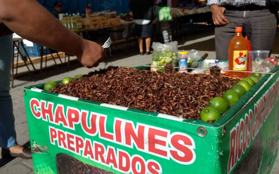 Se Mantiene El Gusto Por Los Chapulines - El Sol De Toluca | Noticias ...